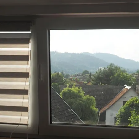 U Borovice Apartman *