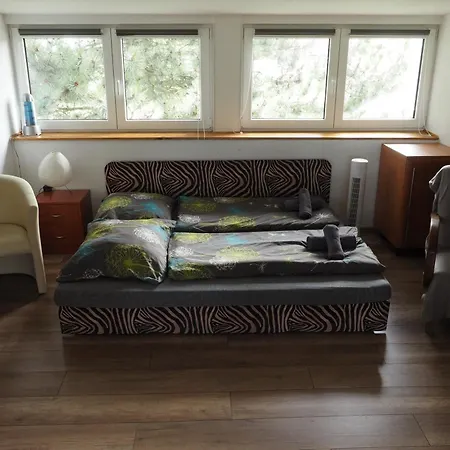 Apartment U Borovice