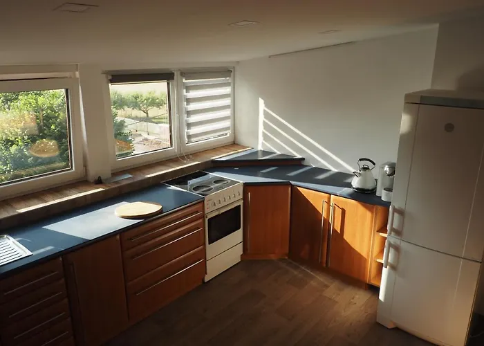 Apartmán U Borovice